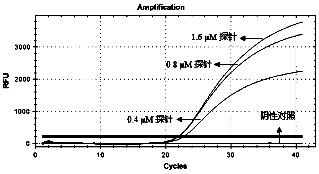 PCR primer and probe for detecting infectivity of African swine fever virus, kit and detection method