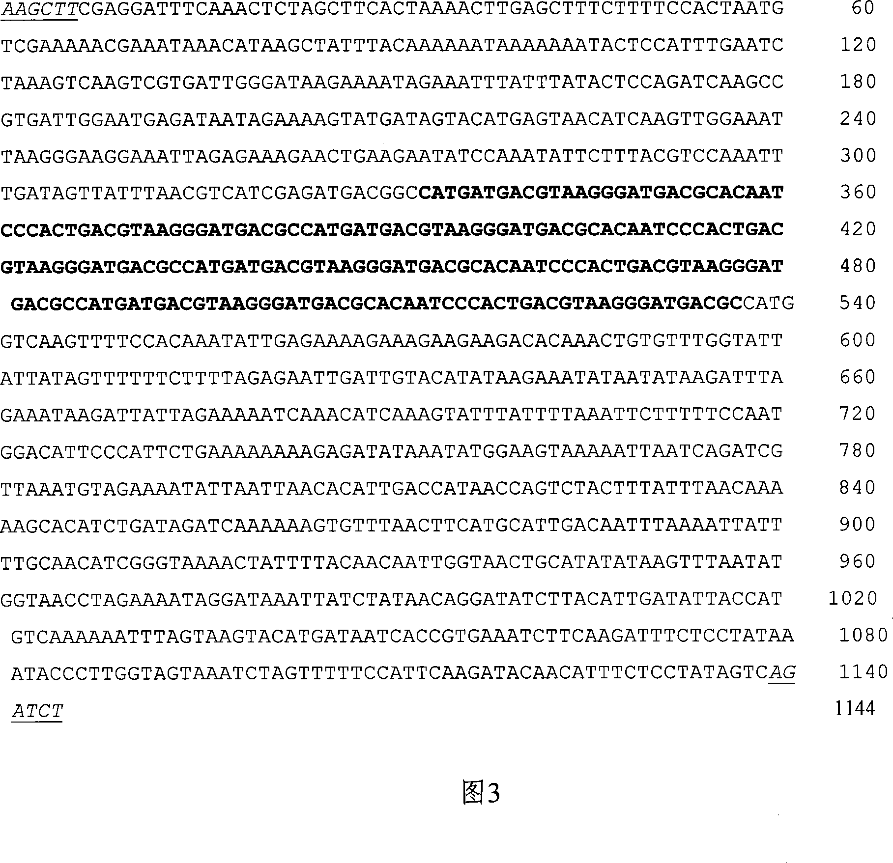 Inducing reinforced composing type promoter and uses thereof