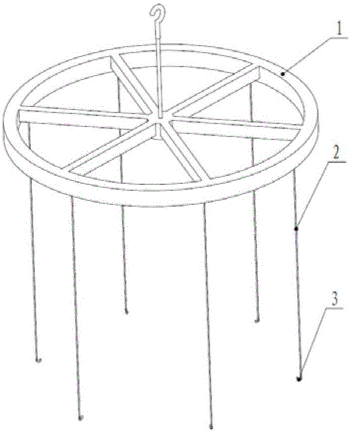 Installation and adjustment system and method for multi-layer nested X-ray grazing incidence optical lens