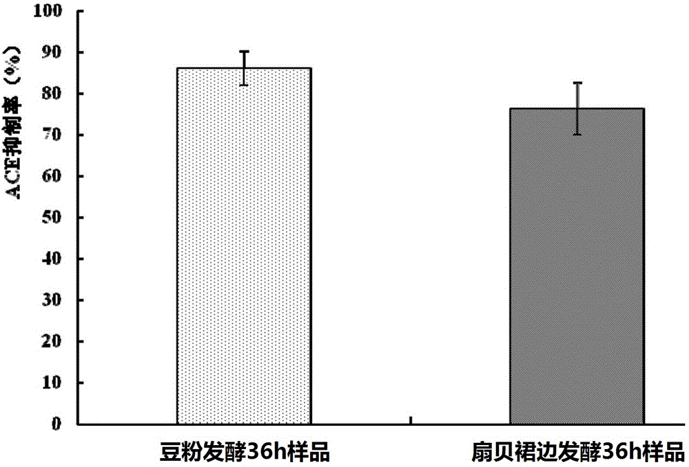 Production method of scallop skirt fermentation product with blood pressure reduction function