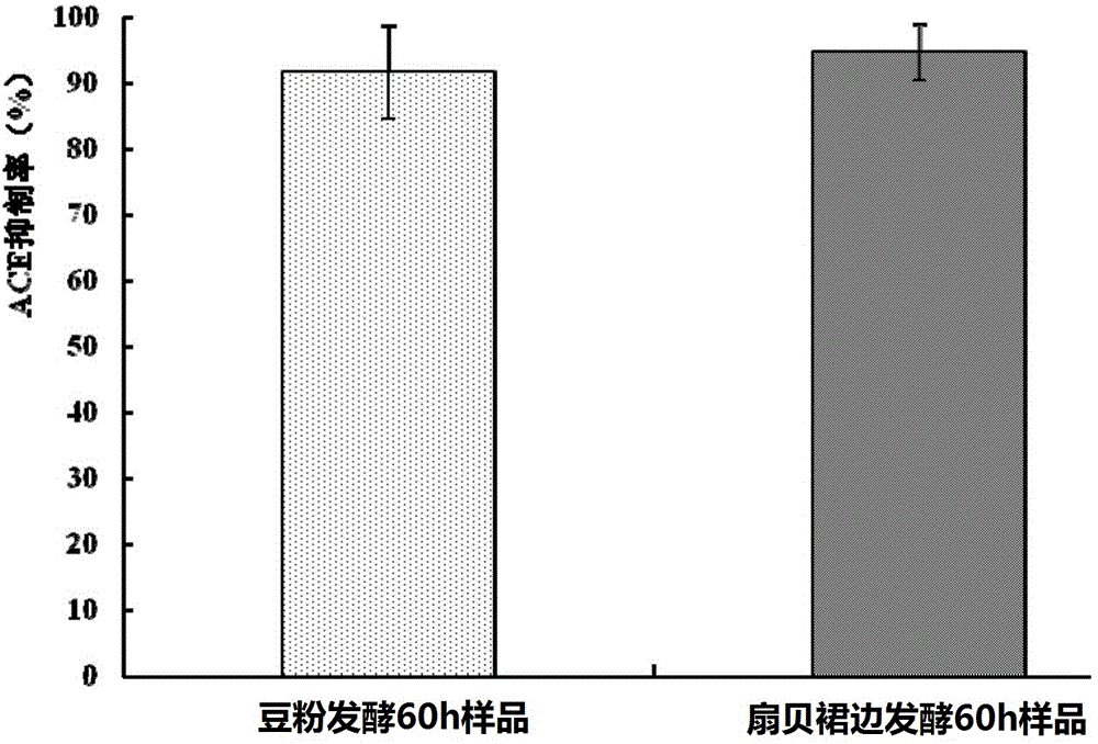 Production method of scallop skirt fermentation product with blood pressure reduction function