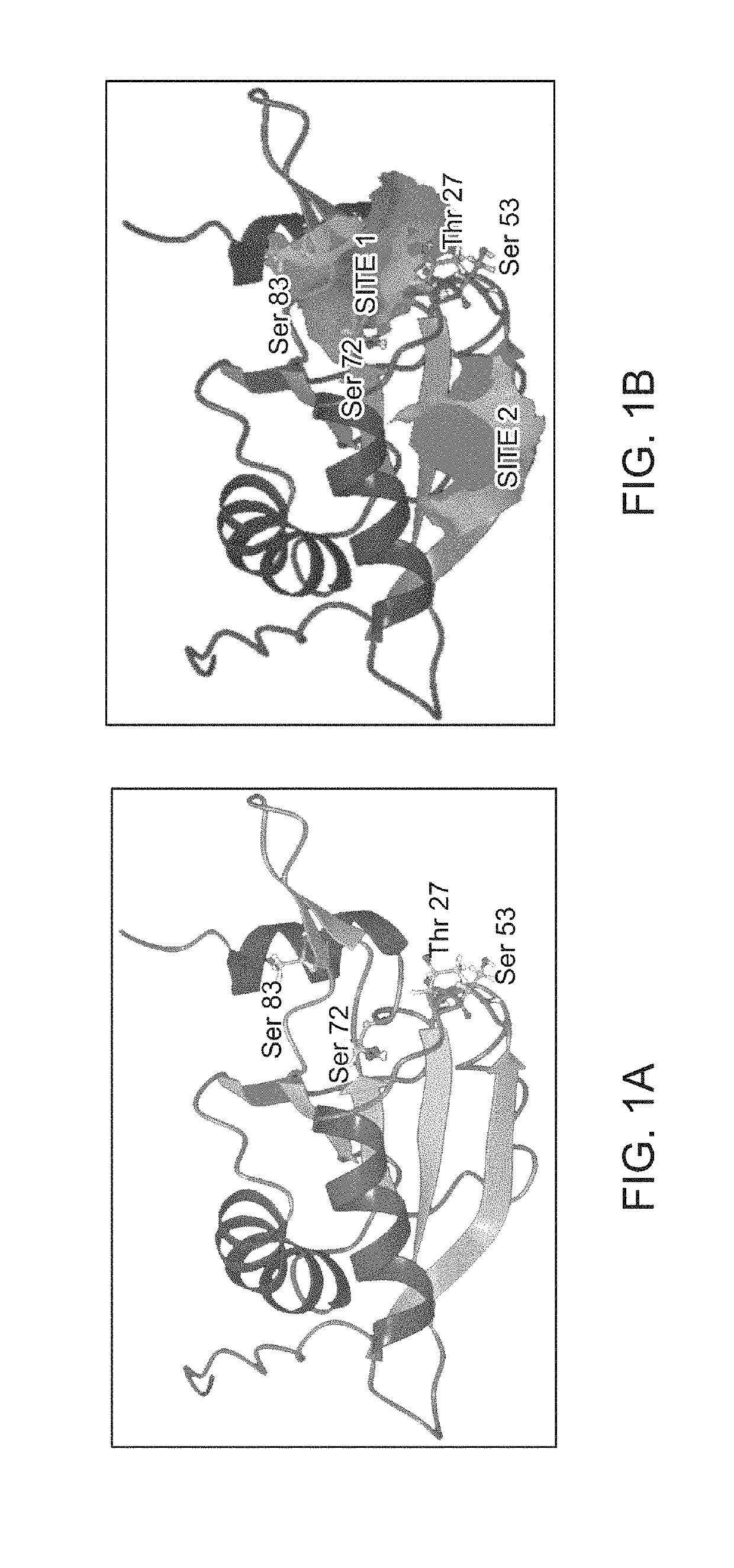 Composition and method for treatment of diseases associated with central nervous system inflammation