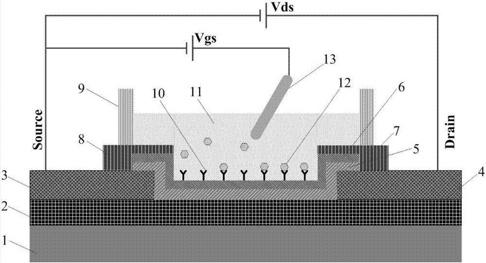 Graphene tumor marker sensor based on multifunctional nanoscale protein film and preparation method thereof