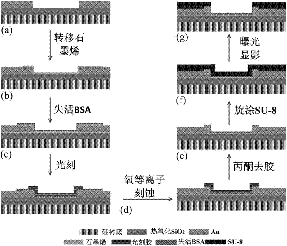 Graphene tumor marker sensor based on multifunctional nanoscale protein film and preparation method thereof