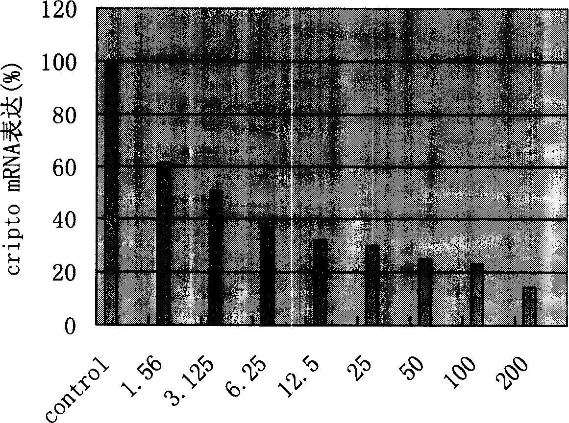 Small interference ribonucleic acid molecule for epidermal growth facor gene and its use