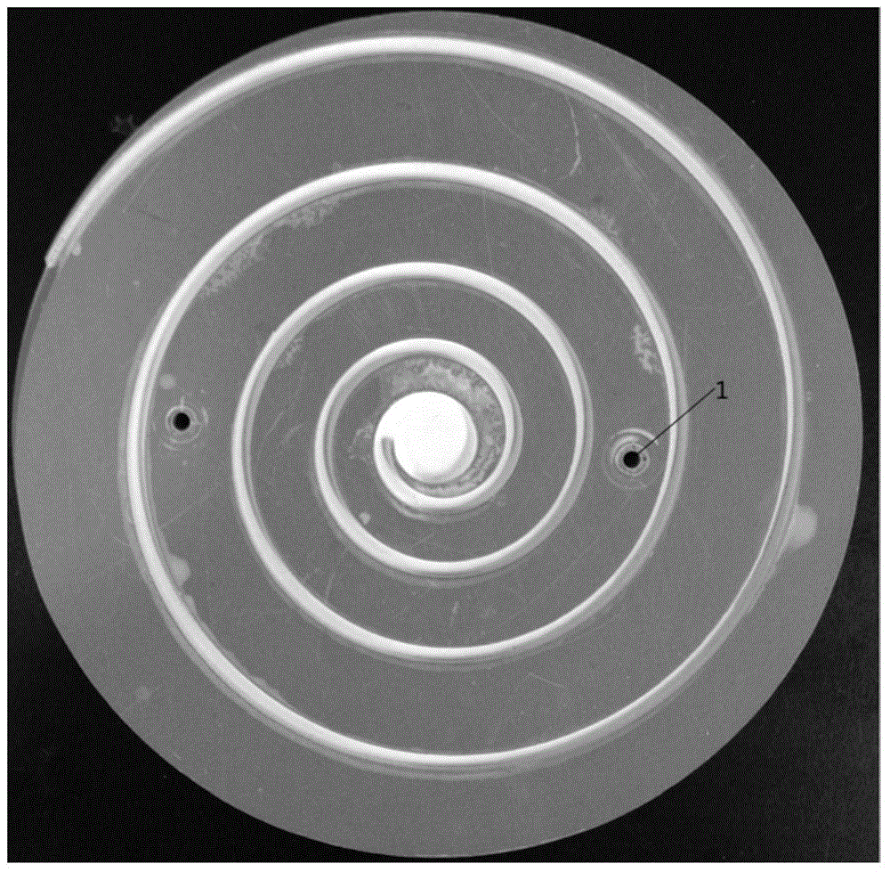 Narrow-band spiral chromatographic sheet and preparation method thereof