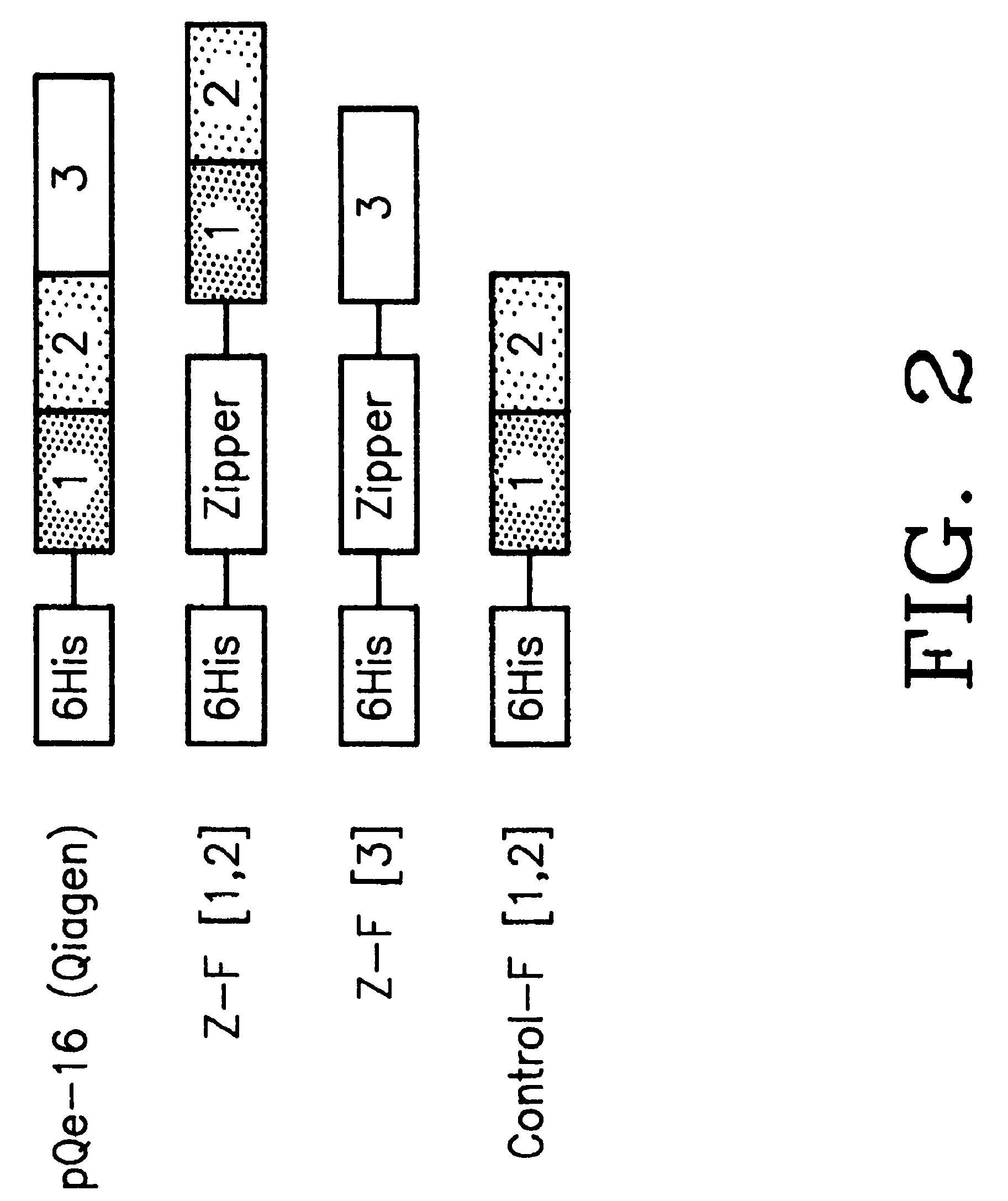 Protein fragment complementation assays in whole animals applications to drug efficacy, ADME, cancer biology, immunology, infectious disease and gene therapy