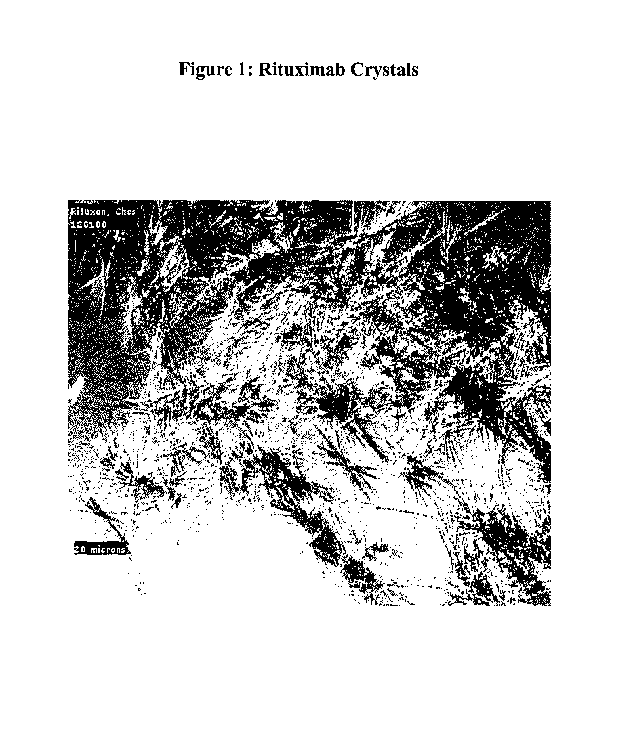 Crystals of whole antibodies and fragments thereof and methods for making and using them