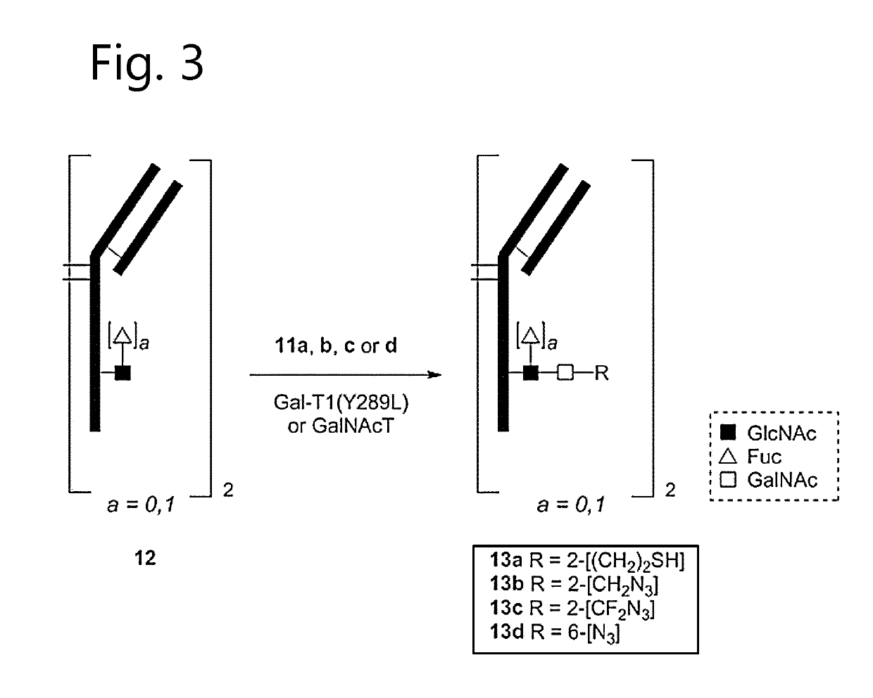 Antibody-conjugates with improved therapeutic index for targeting cd30 tumours and method for improving therapeutic index of antibody-conjugates