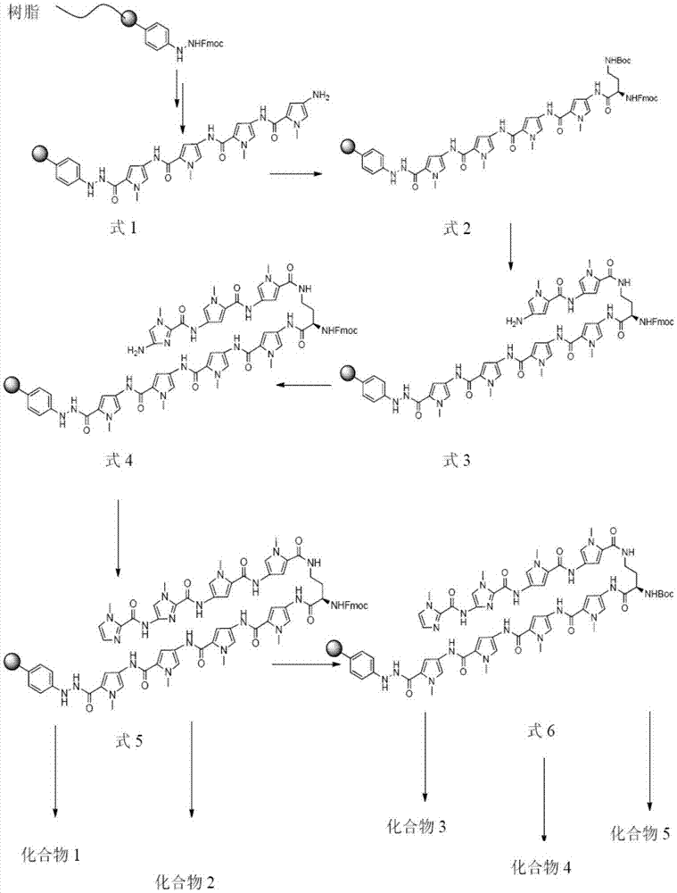 PLK1 inhibitor, and preparation method and application thereof