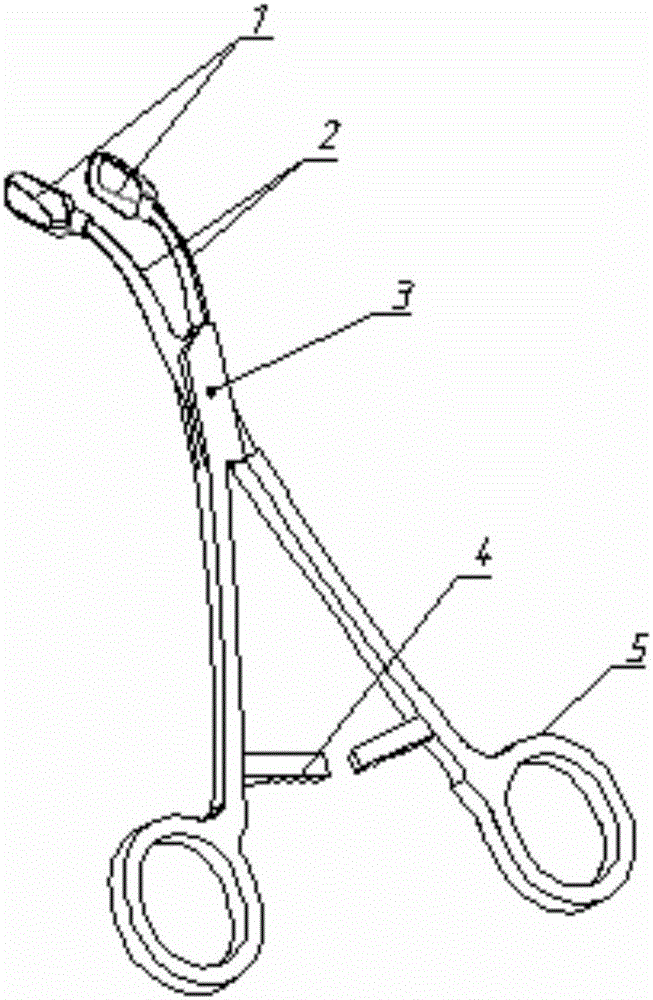 Bent thrombus extraction forceps for liver cancer portal vein tumor thrombus