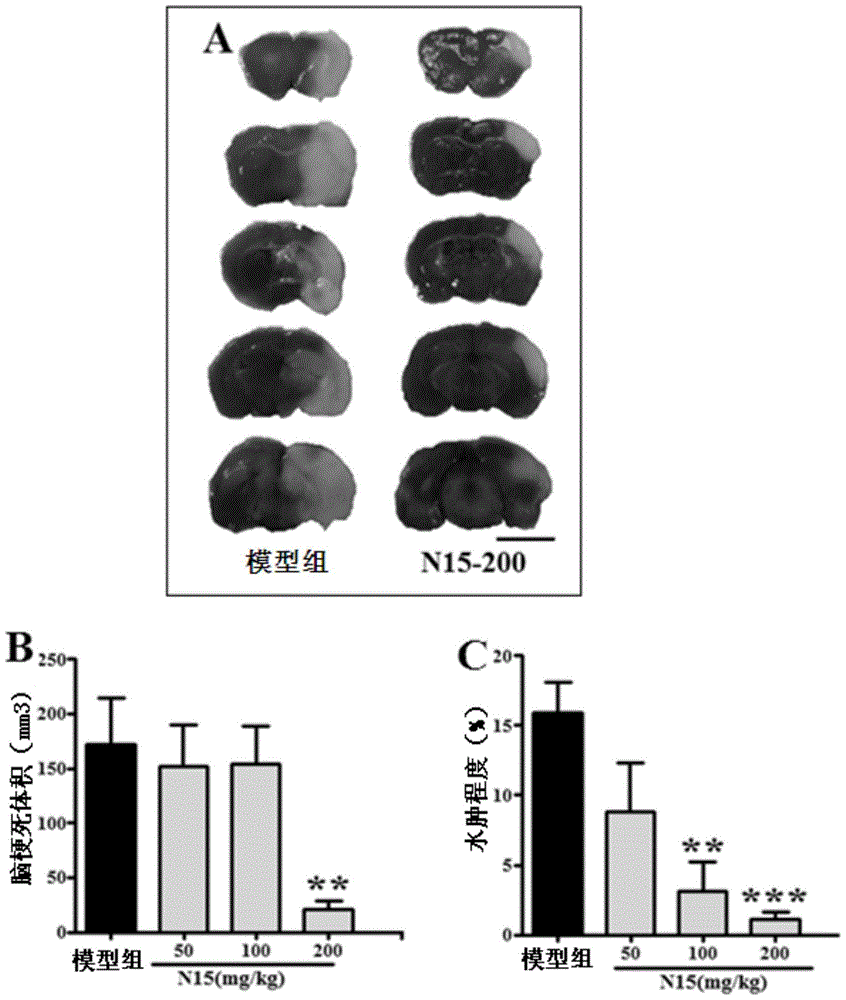 A drug for treating ischemic stroke