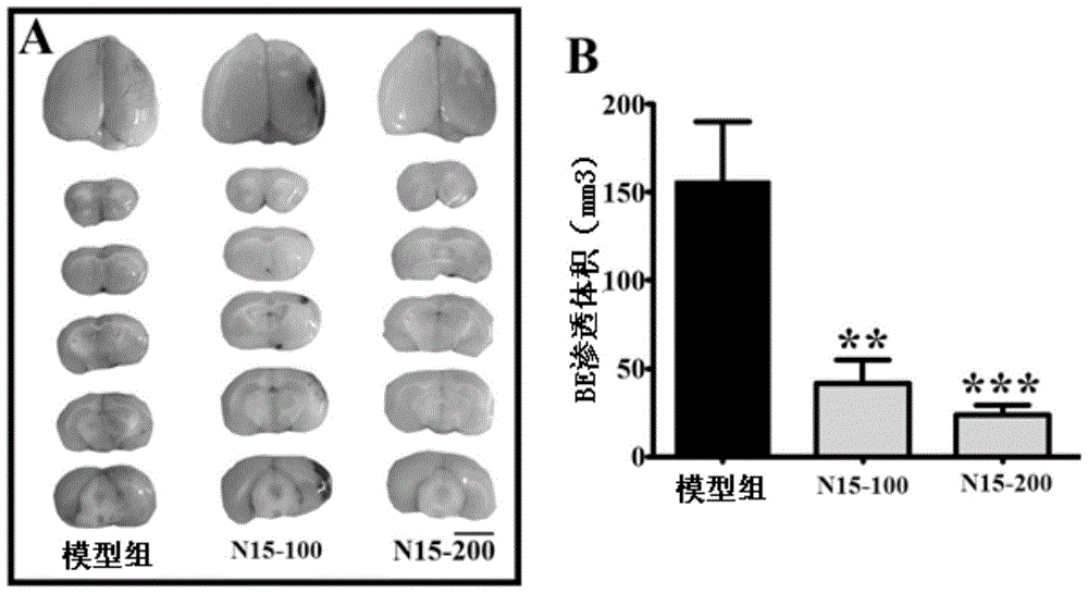 A drug for treating ischemic stroke