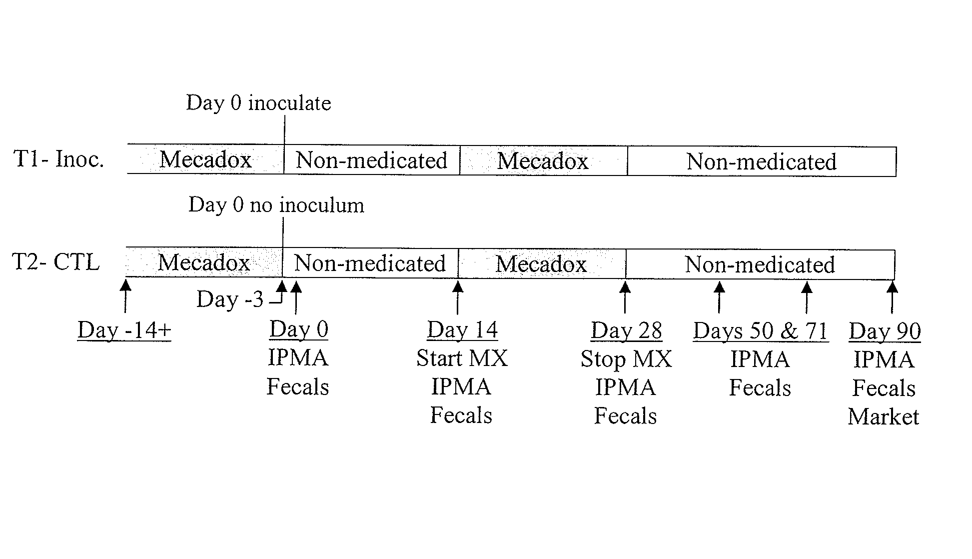 Vaccination for Lawsonia intracellularis