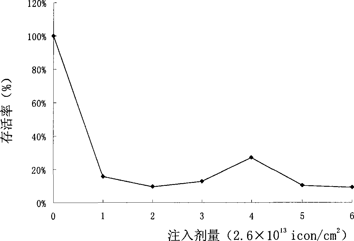 Method for producing biological organic chromium and special bacterial strain thereof