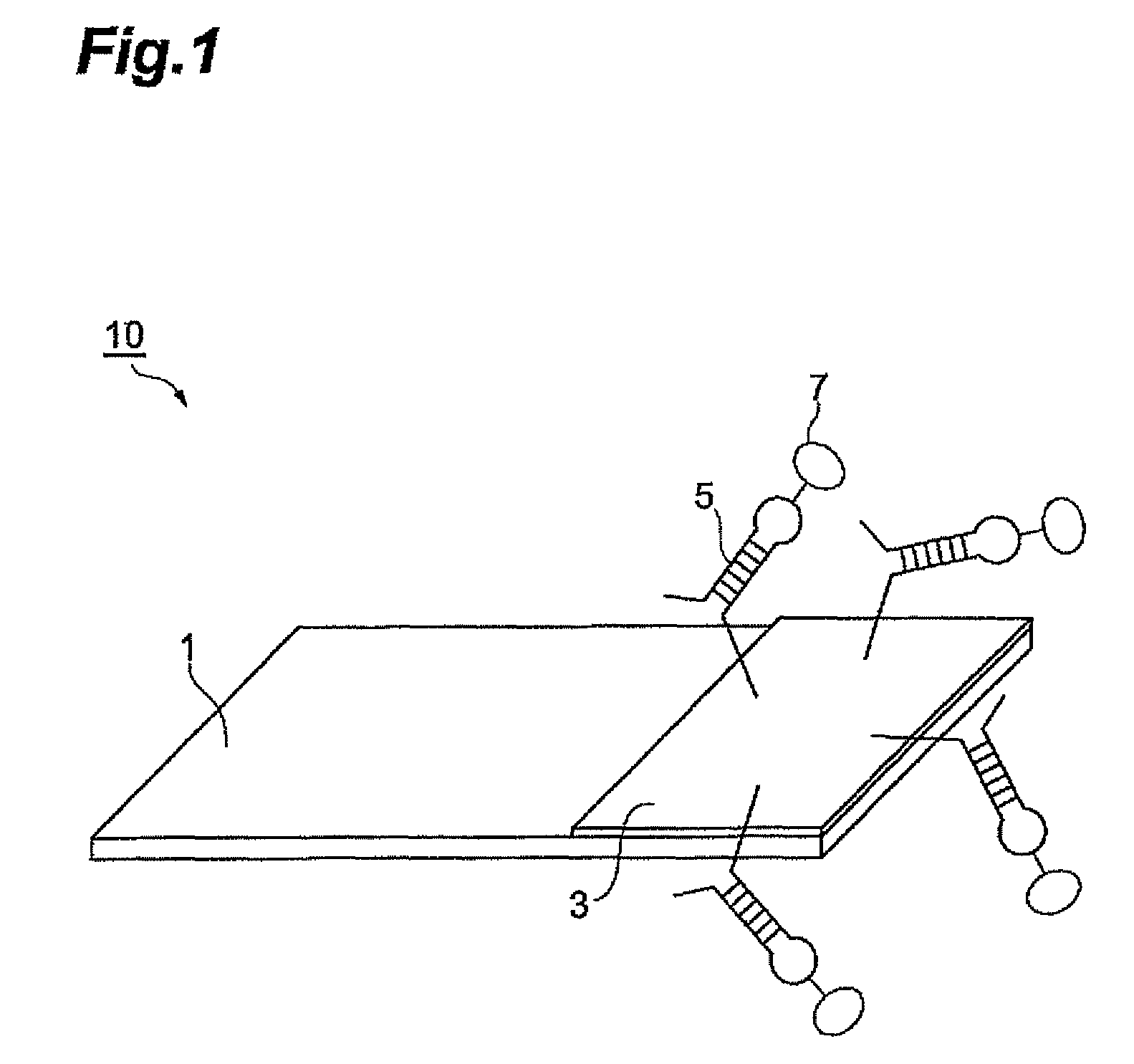 Biosensor