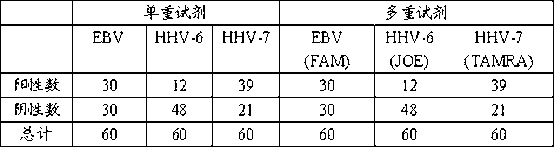 Herpes virus fluorescent PCR detection kit