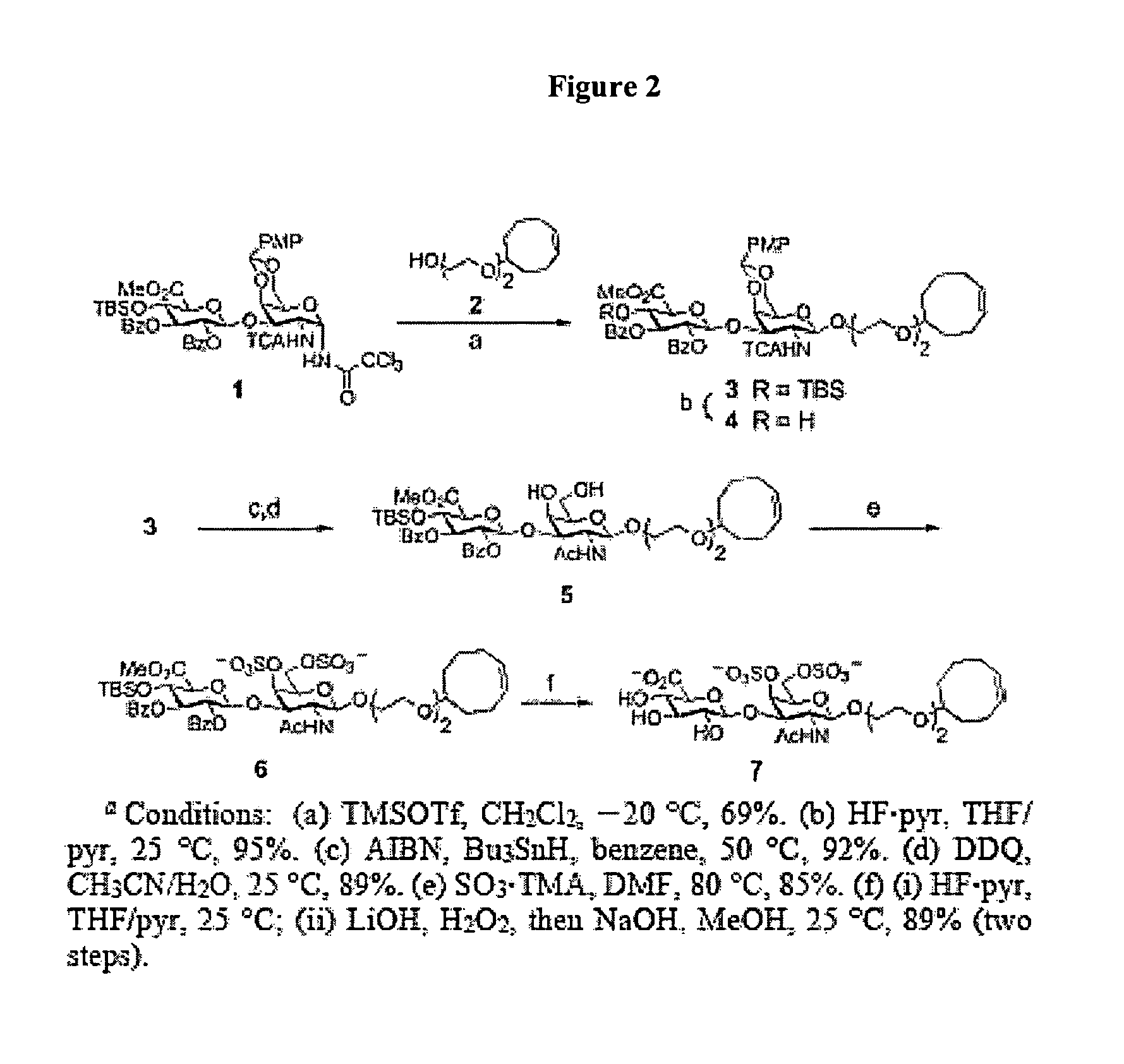 Glycosaminoglycan mimetics