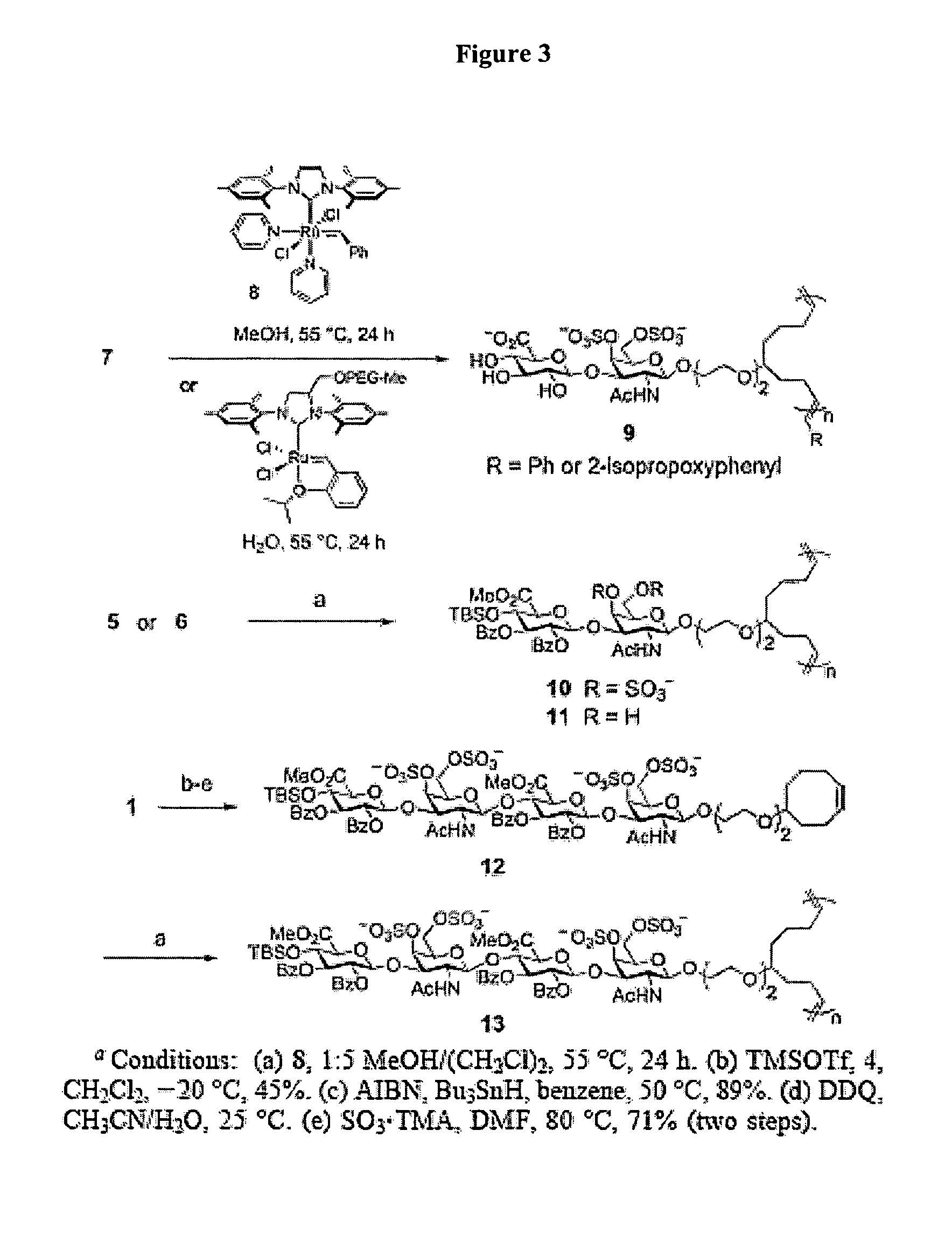 Glycosaminoglycan mimetics