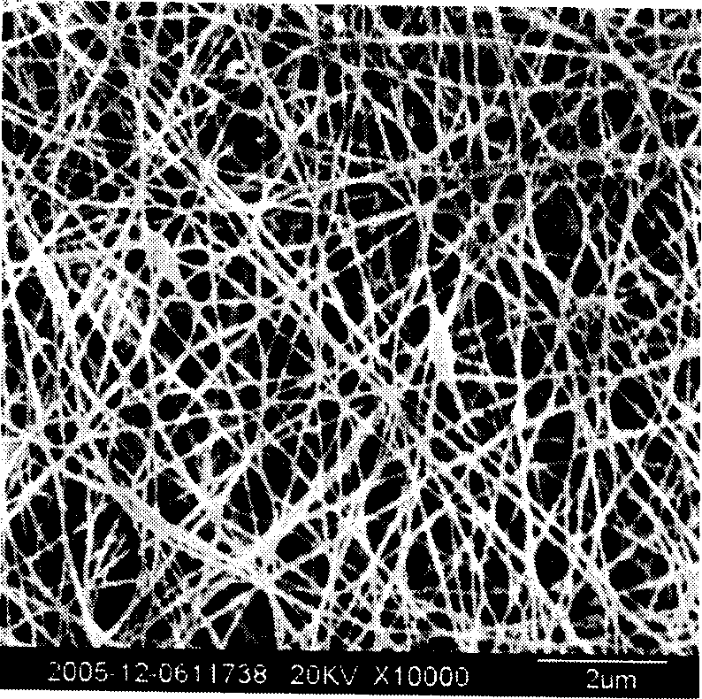 Electric spinning-in-situ photopolymerization apparatus and process for preparing nanometer fiber