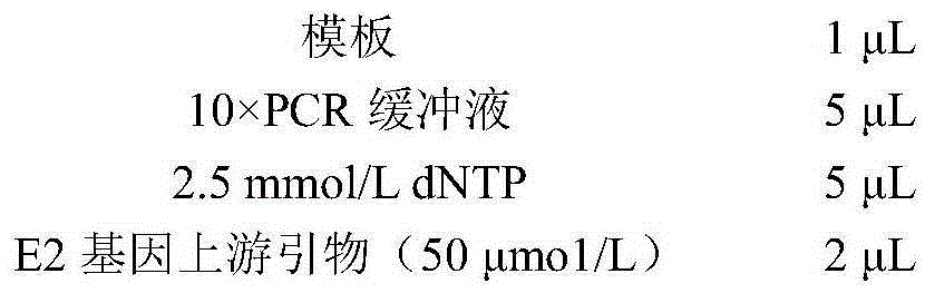 Recombinant adenovirus and construction method thereof