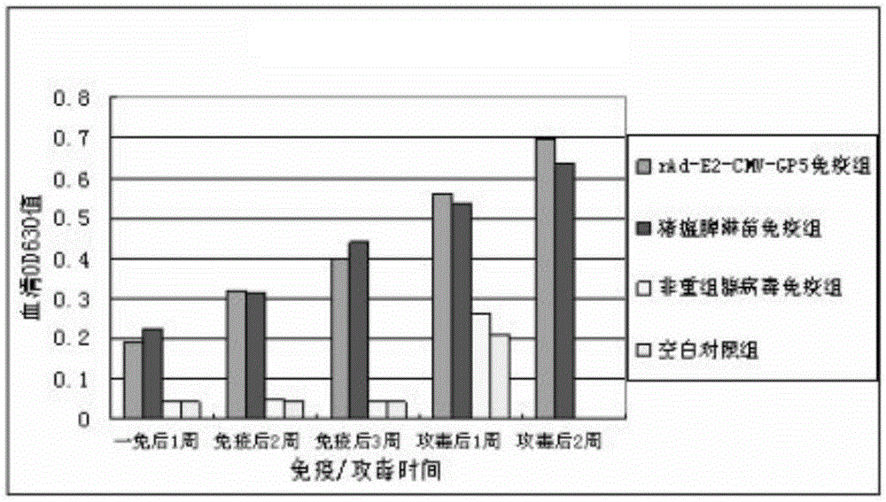 Recombinant adenovirus and construction method thereof