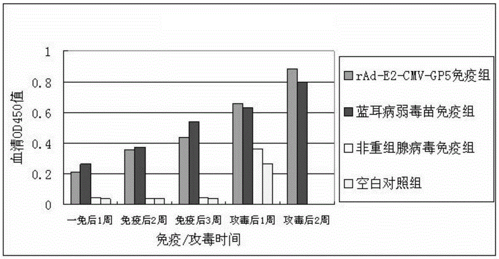 Recombinant adenovirus and construction method thereof