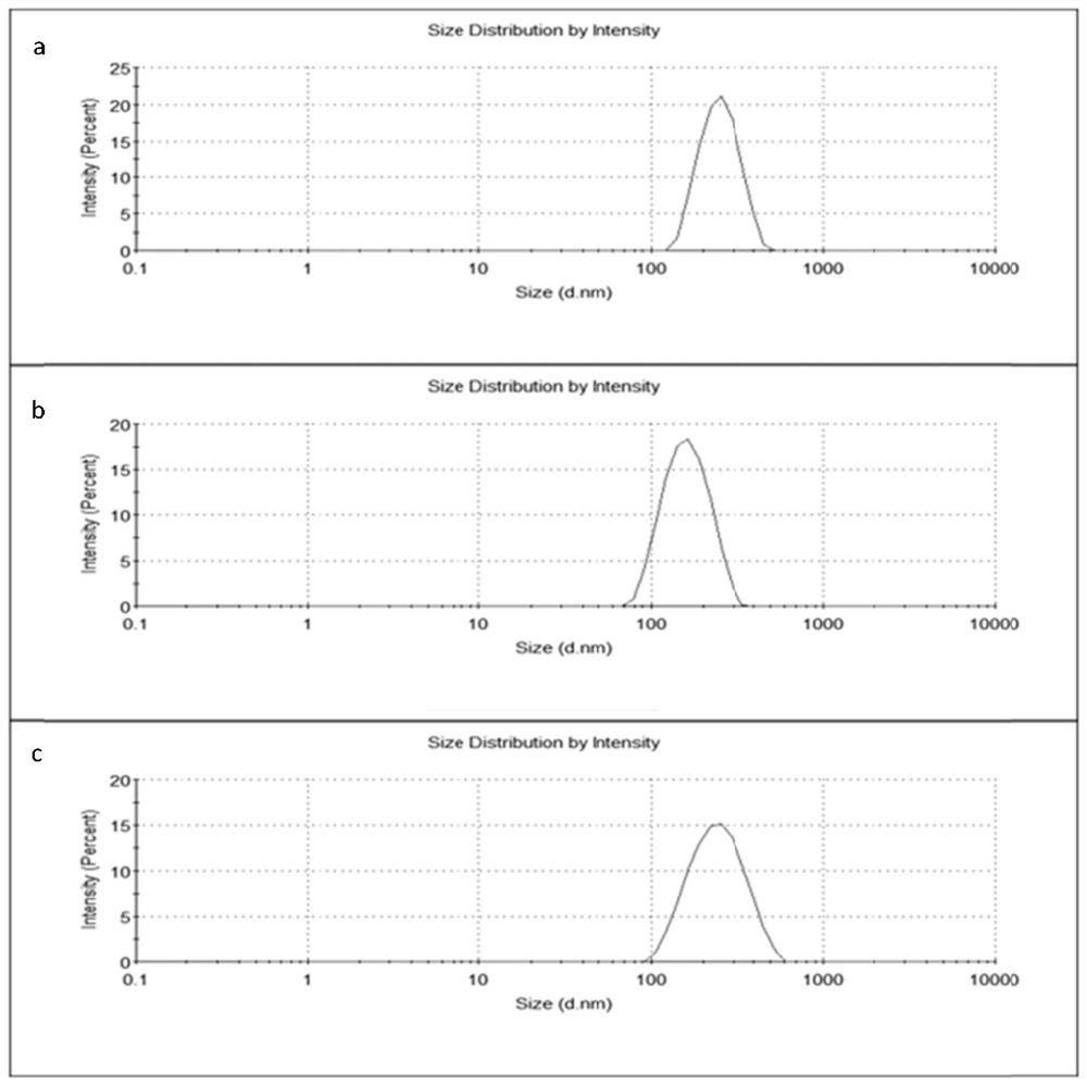 Preparation method of exosome bionic preparation for synergistically promoting wound healing and preparation thereof