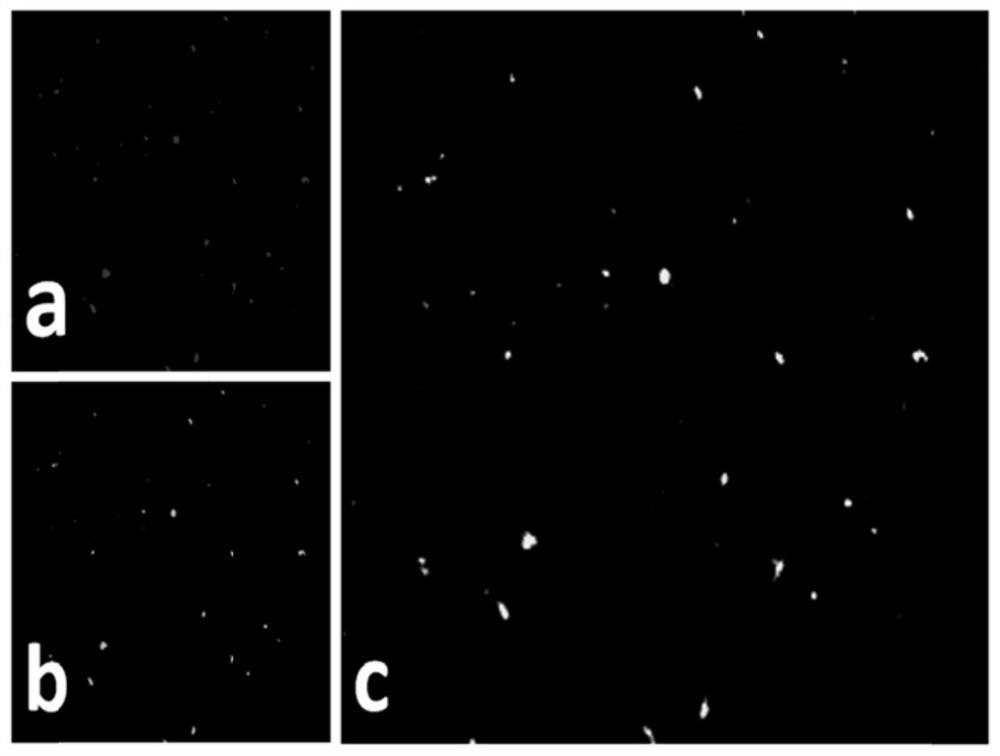 Preparation method of exosome bionic preparation for synergistically promoting wound healing and preparation thereof