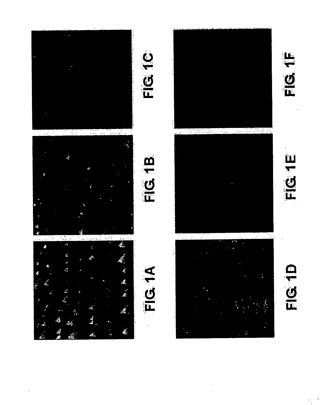 Heteroepitaxial diamond and diamond nuclei precursors