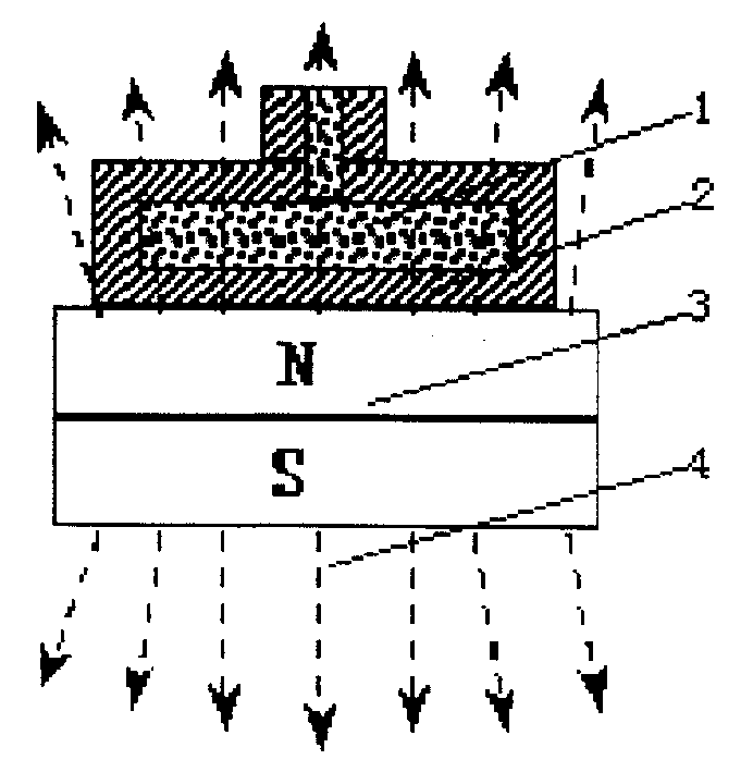 Method for preparing gelatin mold made from functional gradient material in static magnetic field