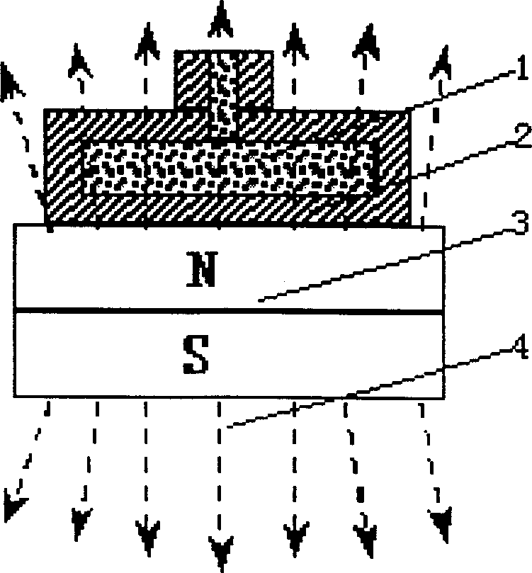 Method for preparing gelatin mold made from functional gradient material in static magnetic field