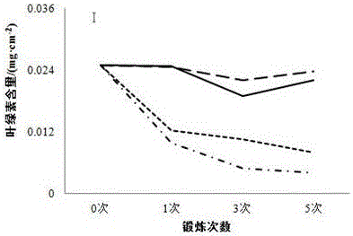 Method for improving anti-drought ability of artificially-cultured moss crust