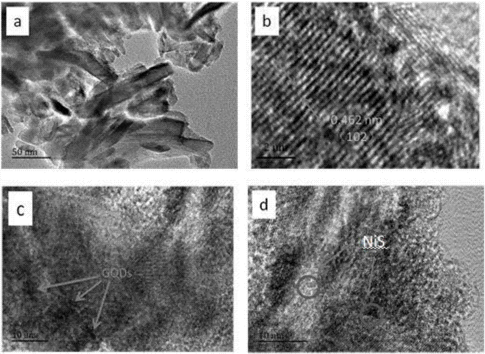 TiO2/GQDs/NiS heterojunction photoanode and preparation method thereof