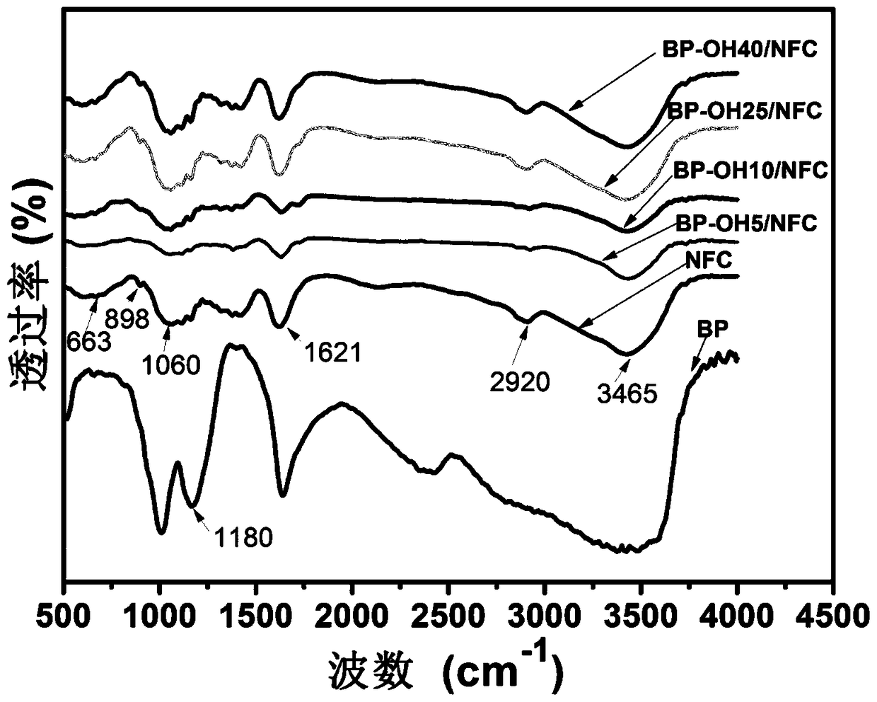 Preparation method of shell-like structure cellulose nanofiber/black phosphorene composite film