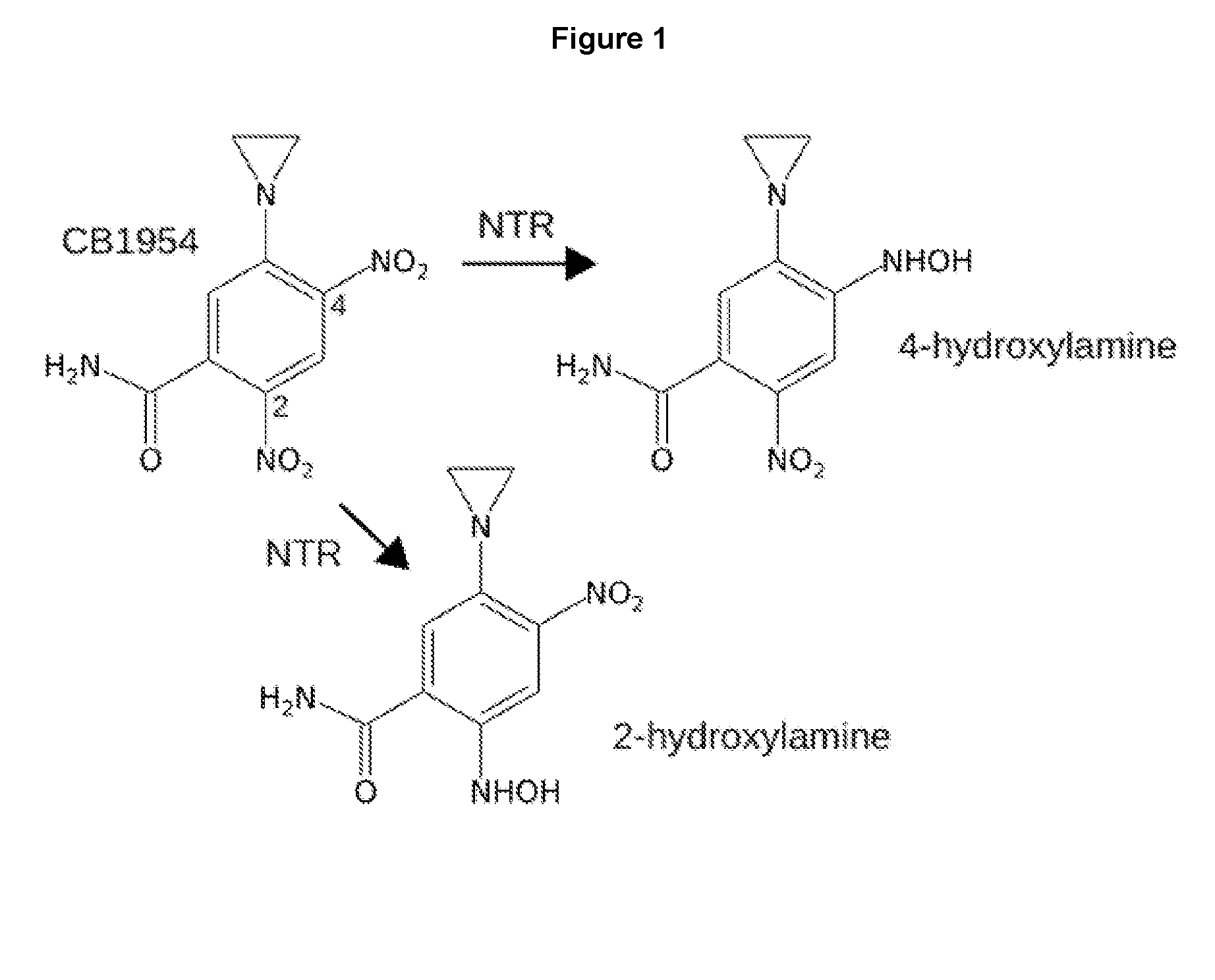 Treatment for cancer