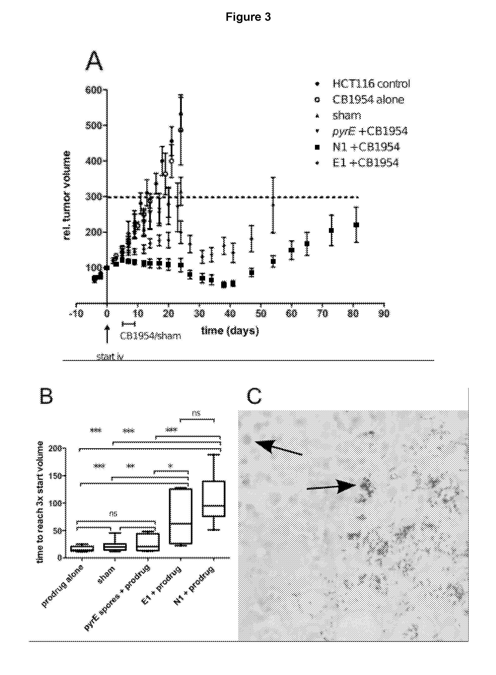 Treatment for cancer