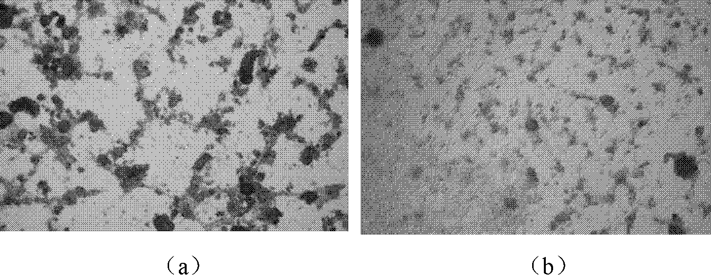 Extracting process of cordyceps sinensis mycelium polysaccharide of composite preparation for preventing tumor