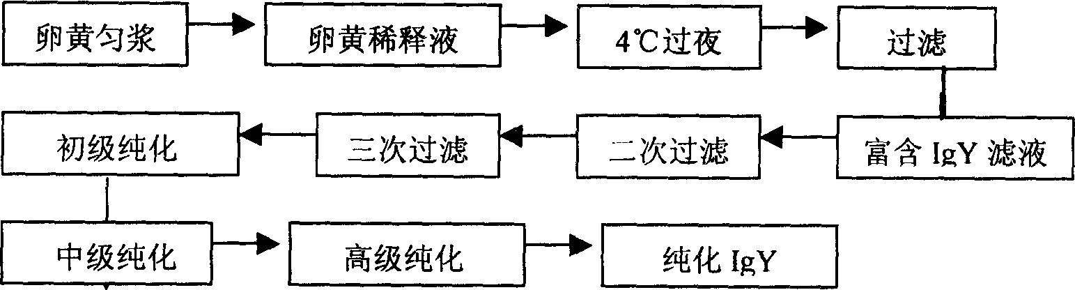 Method for preparing IgY for SARS