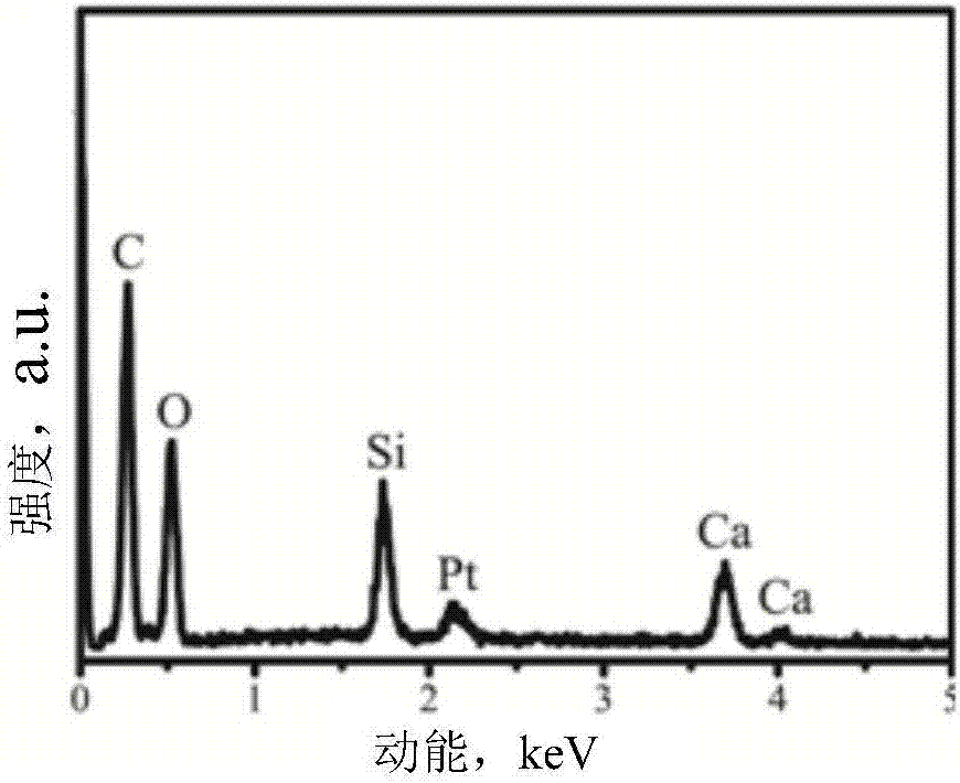 Three-dimensional porous support material of spherical mesoporous calcium silicate/chitosan, preparation method and application