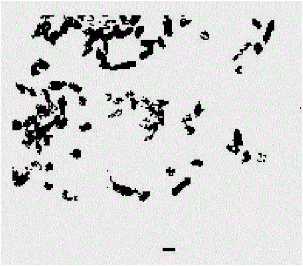 Fuzzy rough set coal dust image segmentation method based on multiple attribute reduction