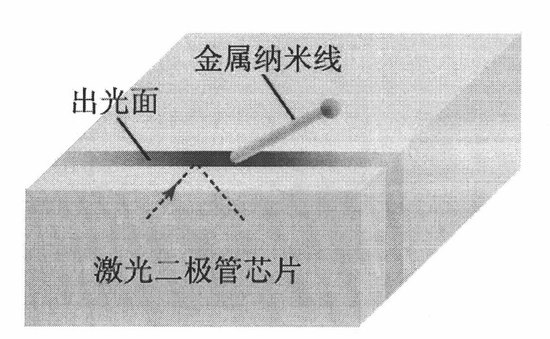 Surface plasma excitation method for chip-integrated metal nanowire