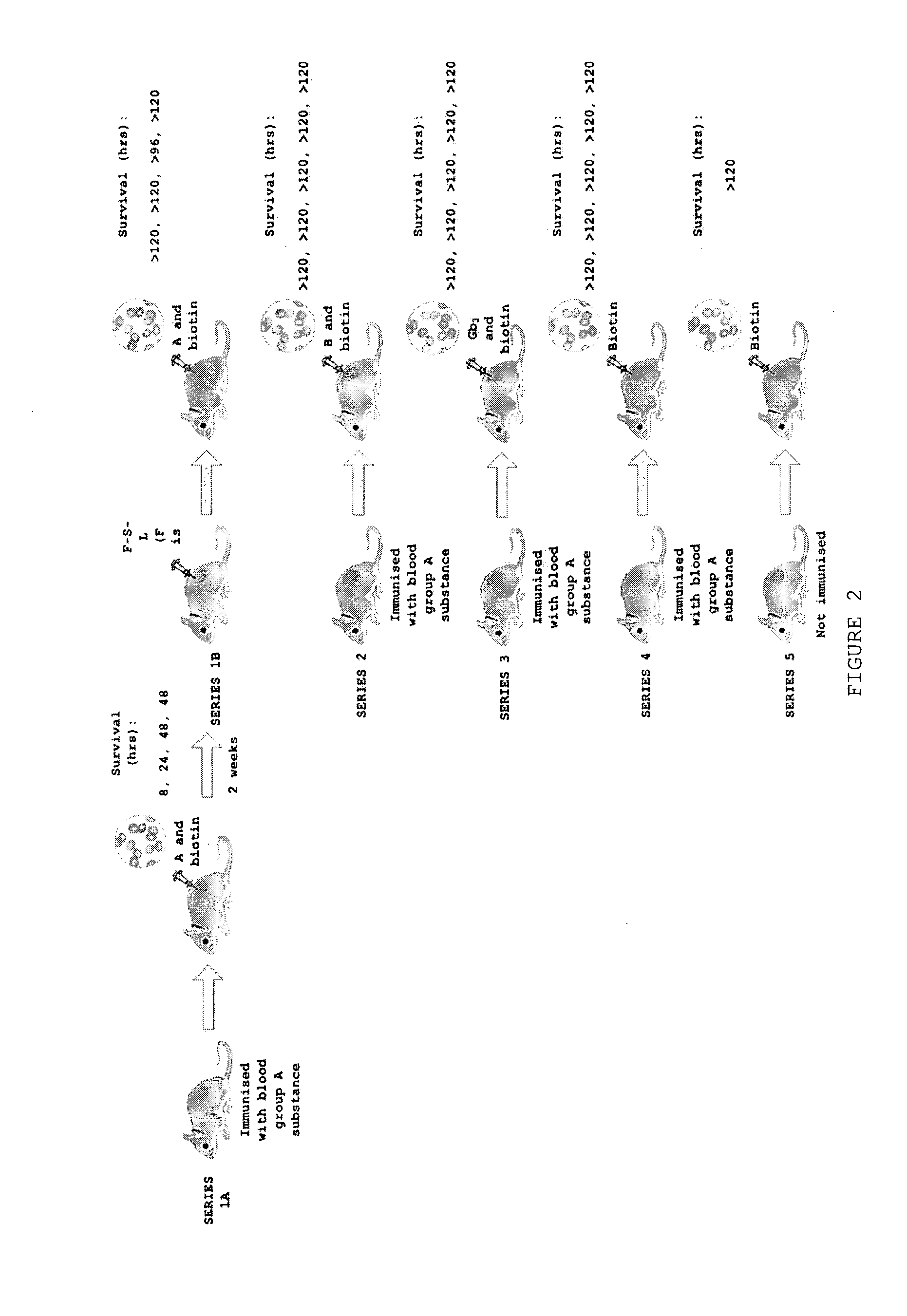 Method of modifying the immune response