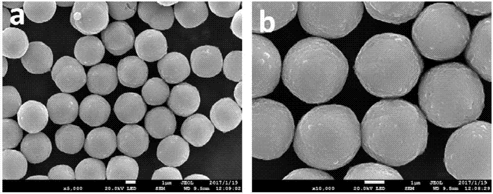 Carbon shell coated NiS classification microsphere and preparation method and application thereof