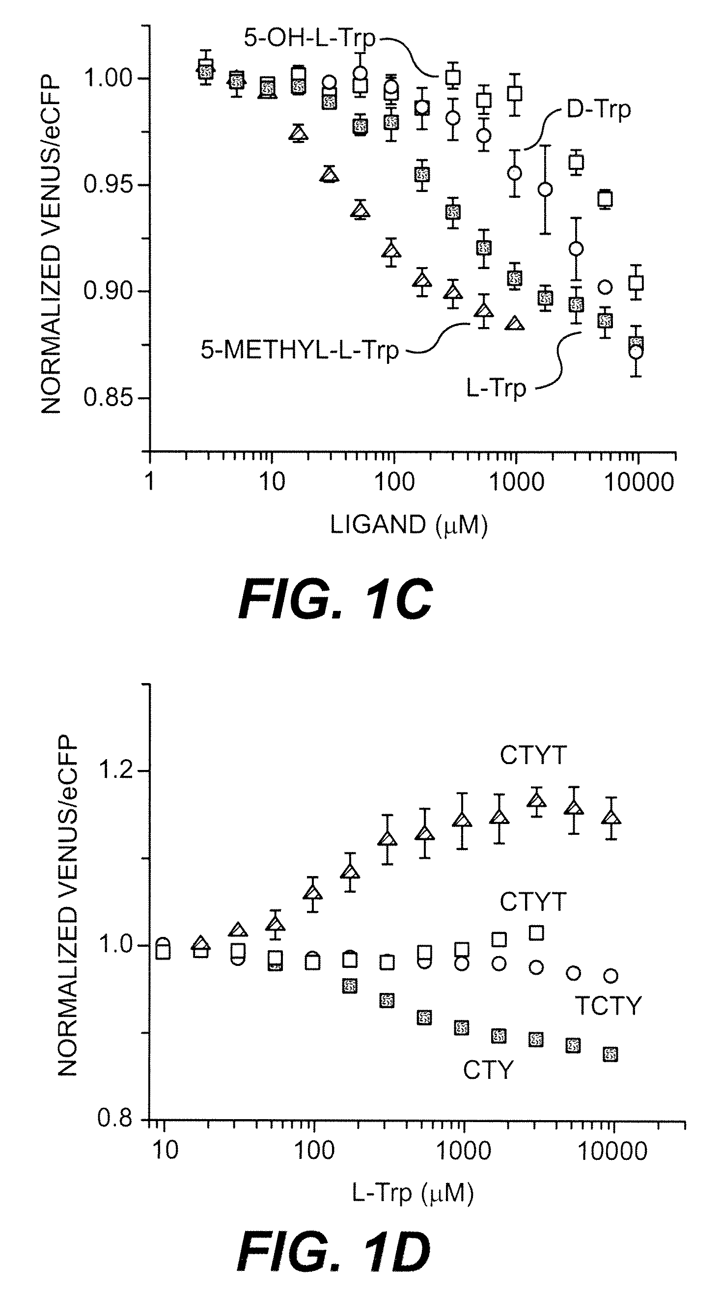 Trp/his exchange and kynurenine induced Trp transport