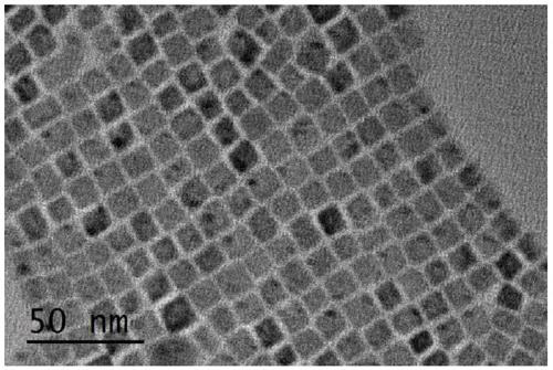 Perovskite quantum dot ligand and preparation method and application thereof