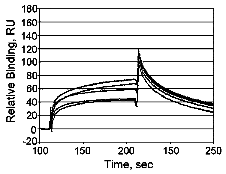 Interleukin 39 specific antagonistic protein and application thereof in treating autoimmune diseases