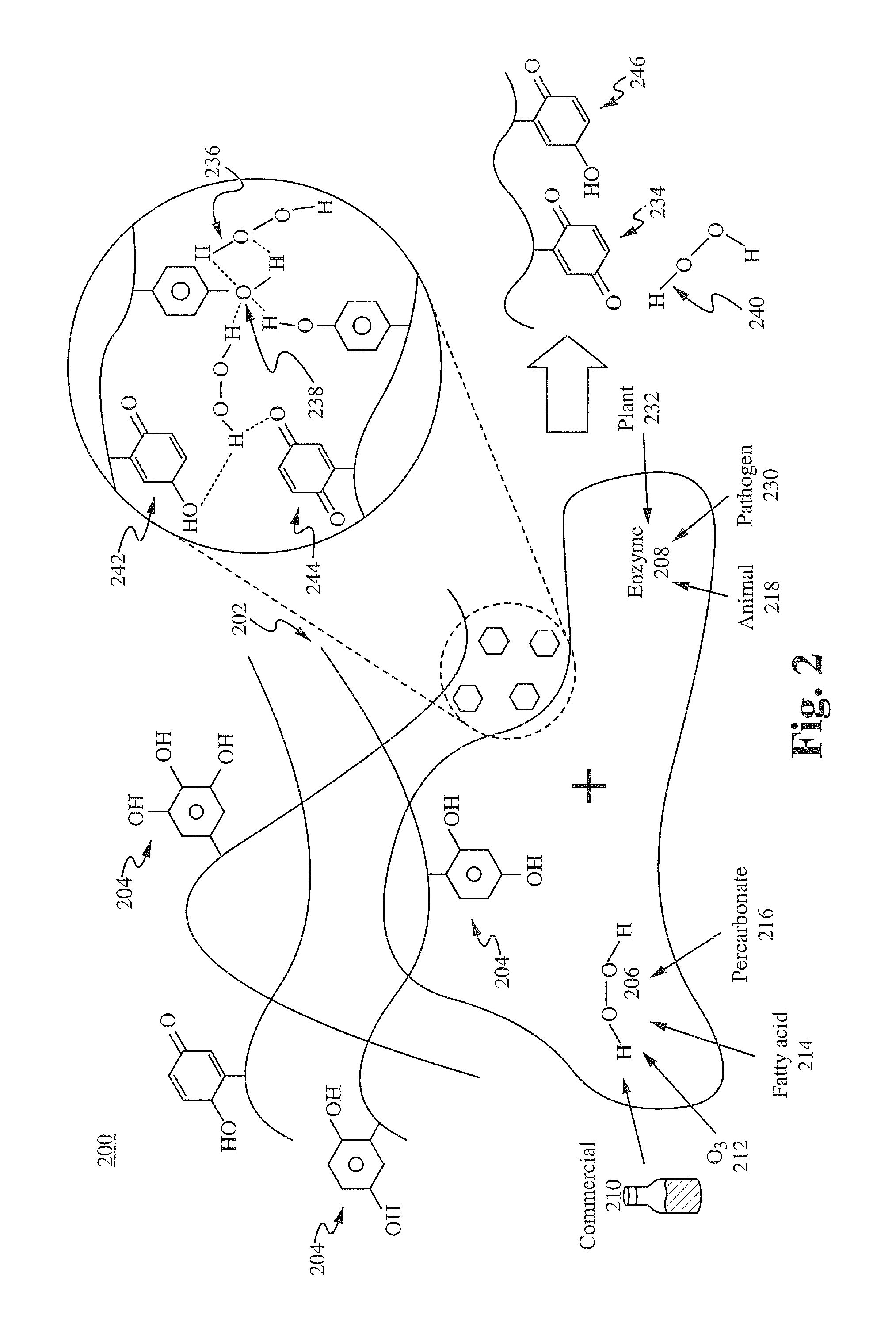 Method and material for site activated complexing of biologic molecules