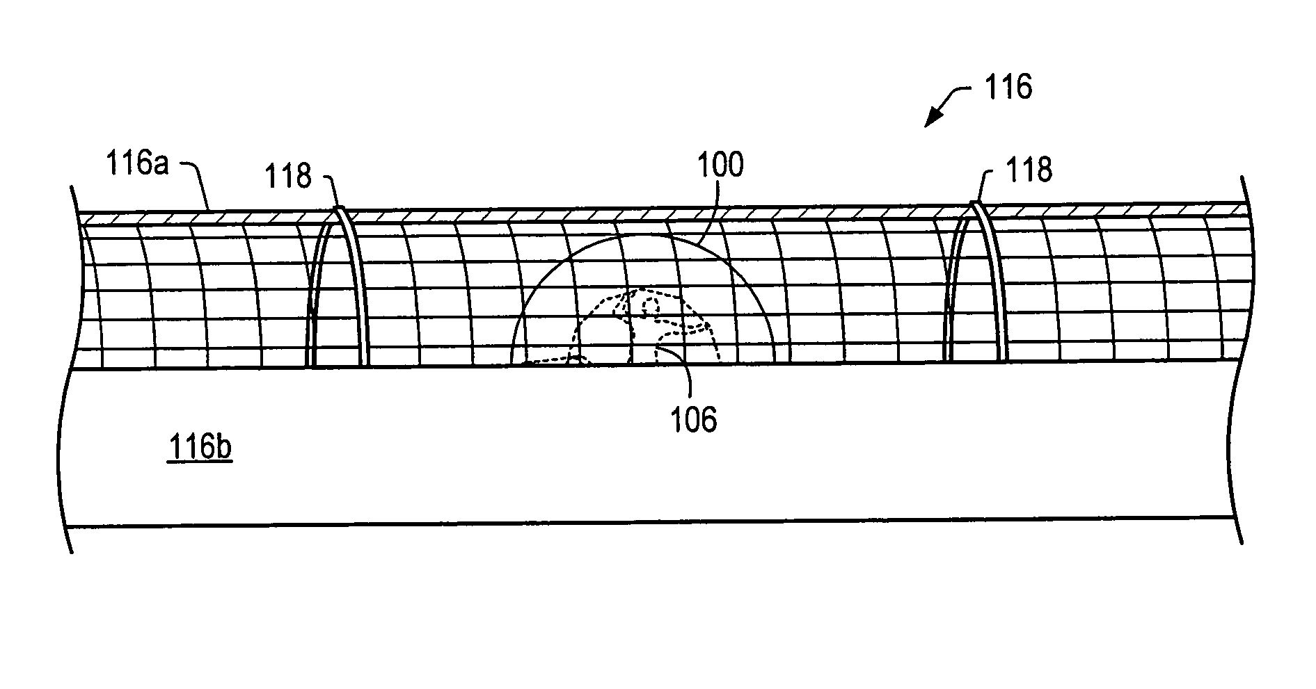 Rollable carrier ride