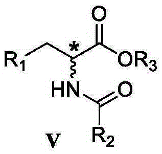 Preparation method of chiral alpha-amino acid